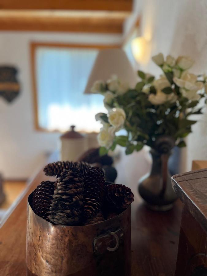 Chalet Blanc "Le Flocon" Courmayeur Eksteriør billede