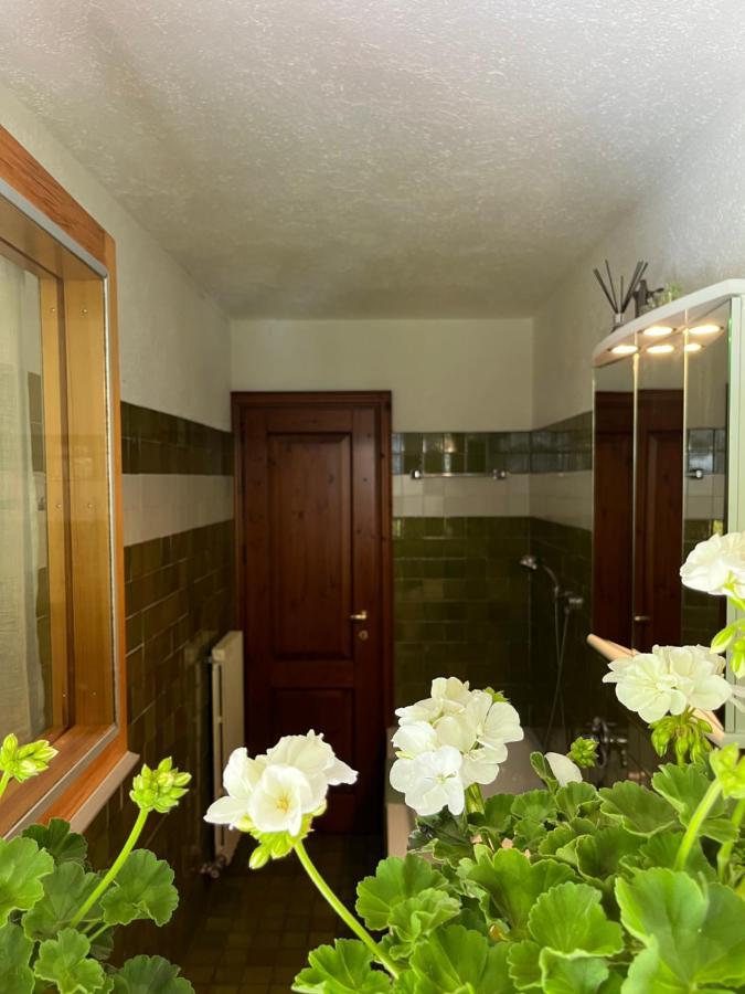 Chalet Blanc "Le Flocon" Courmayeur Eksteriør billede